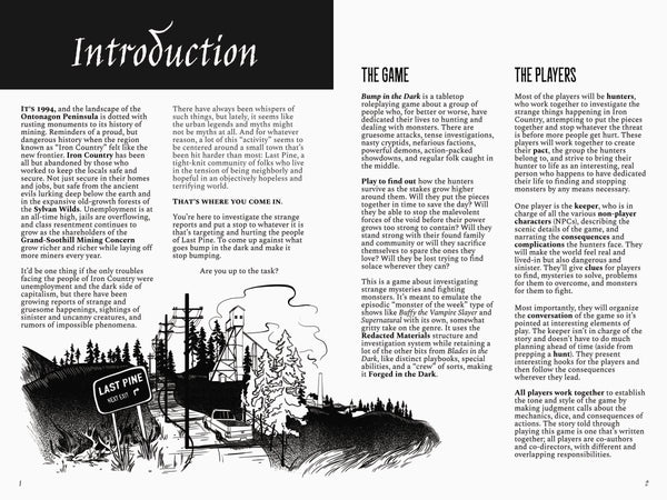 Bump in the Dark: Revised Edition